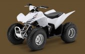 2011 Honda TRX90X photo